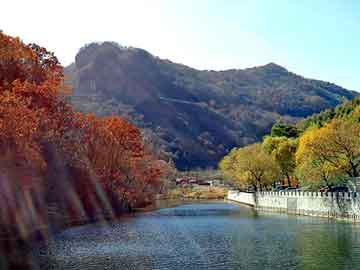 新澳天天开奖资料大全旅游团，离开沙场的骑士